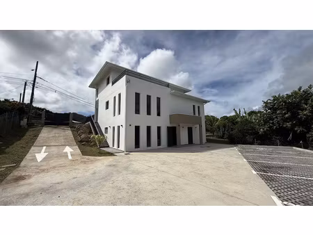 location local professionnel 130m² le robert 97231