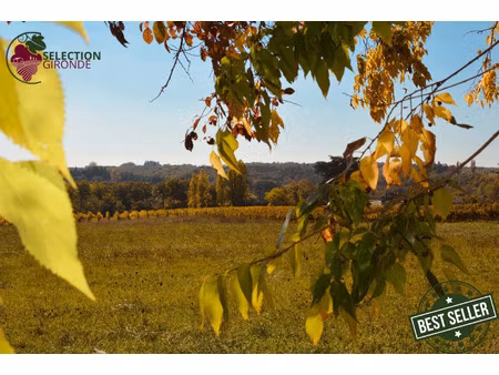 vente terrain 1500 m² pellegrue (33790)