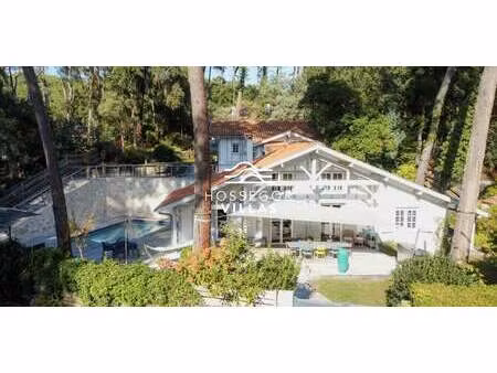 maison avec piscine et jardin hossegor (40)