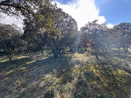 terrain de 2020m² constructible viabilisé à saint restitut