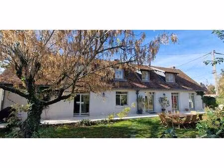 maison avec piscine et jardin maslives (41)