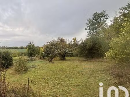 vente terrain piscine à corbarieu (82370) : à vendre piscine / 1095m² corbarieu