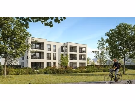 appartement te koop in sijsele met 3 slaapkamers