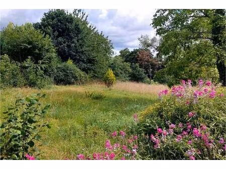 terrain constructible viabilisé à vendre