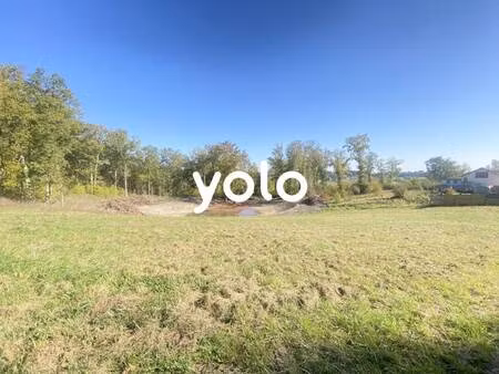 yolo immobilier