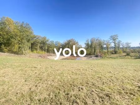yolo immobilier