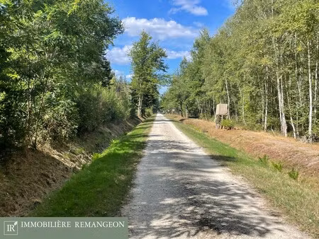 propriété à vendre à neuvy-sur-barangeon