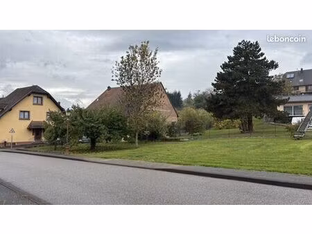terrain 650 m² salenthal