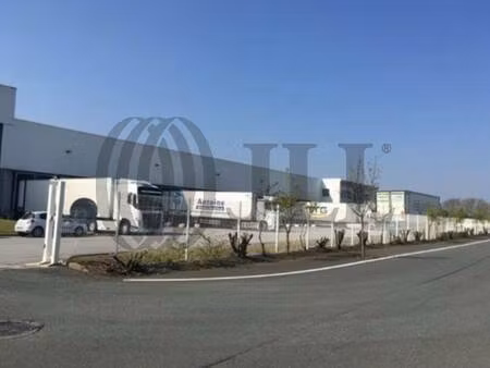 jll ilog transaction grands comptes