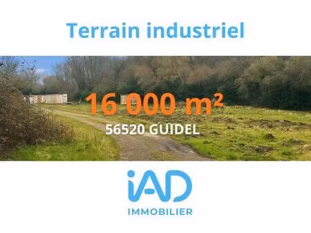 vente murs commerciaux 16 000 m²