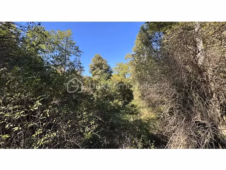 vente terrain 4130 m² à sigoulès-et-flaugeac (24240)  5 000 €