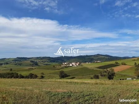 maison 11 pièces 262 m²