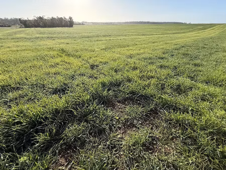 vente terrain 54622 m² à menetou-couture (18320)  36 000 €