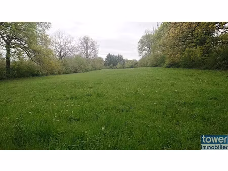 vente terrain 9381 m² à puylagarde (82160)  52 500 €