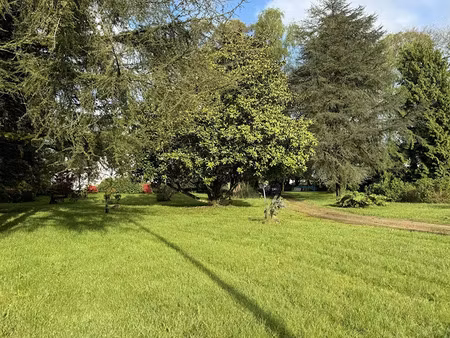 vente terrain 260 m² à pluvigner (56330)  60 020 €