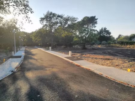 vente terrain 649 m² à pissos (40410)  89 000 €