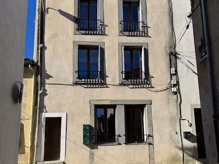 vente locaux professionnels 5 pièces 135 m² à carcassonne (11000)  280 000 €