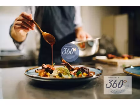 vente locaux professionnels 225 m² à louhans (71500)  134 400 €