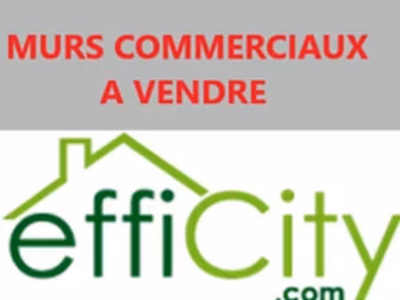 vente locaux professionnels 17 m² à pointe a pitre (97110)  40 000 €