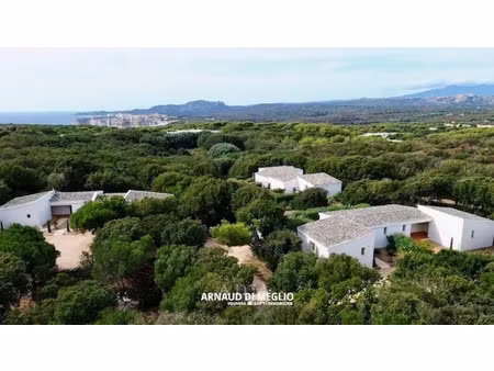 vente locaux professionnels 12 pièces 304 m² à bonifacio (20169)  2 980 000 €