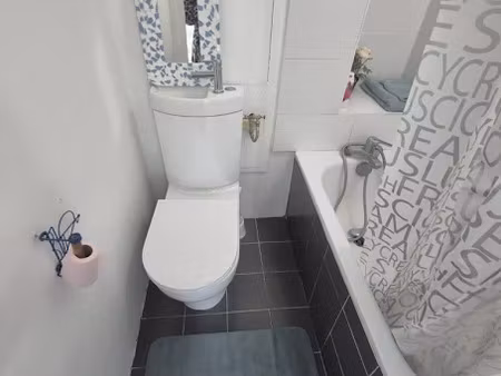 location meublée appartement 1 pièce 19 m² à nogent-sur-marne (94130)  700 €