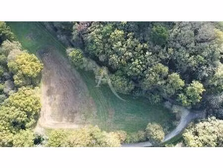 vente terrain à la chaize-giraud (85220) : à vendre / la chaize-giraud