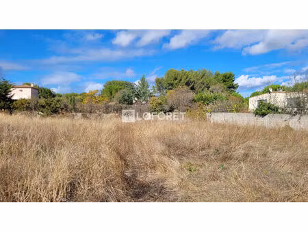 terrain castelnau le lez 1000 m2