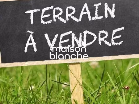 terrain à vendre saint-loup-lamairé