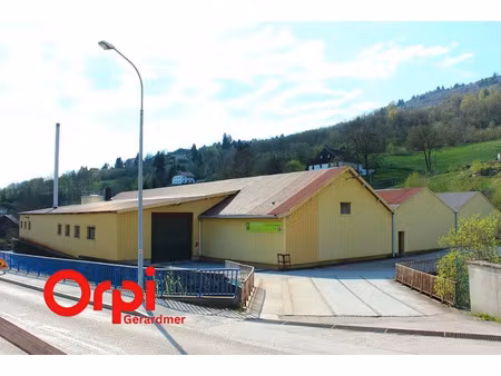 vente maison à la bresse (88250)  470 000 €