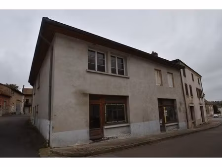 immeuble de 320 m² - chenay le chatel - proche marcigny