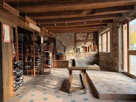 ensemble à molsheim - local commercial - maison - dépendance
