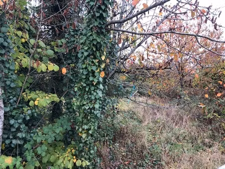 en vente terrain constructible 9 ares – 210 000 € |longwy