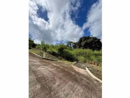 beaux terrains constructibles et viabilisés à vendre  martinique