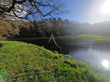 vente terrain de loisirs  la chaize