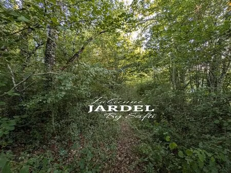 vente terrain 2190 m² saint-martial-de-nabirat (24250)