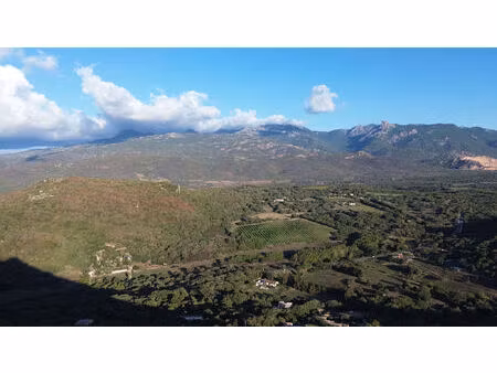 vente terrain 8400 m² figari (20114)