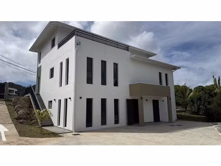 location local professionnel 73m² le robert 97231