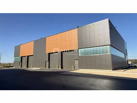 local d'activités a louer