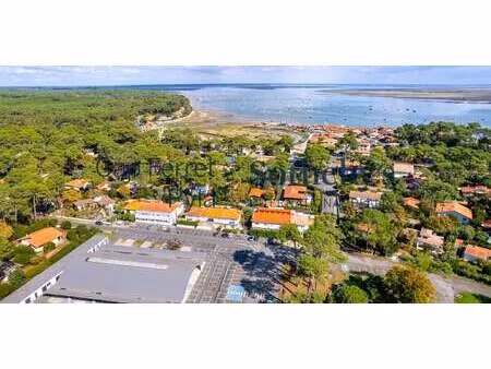 appartement en bord de mer lège-cap-ferret (33)