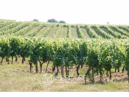 propriété viticole à pellegrue