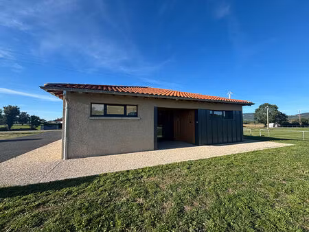 bureaux professionnel st etienne lardeyrol