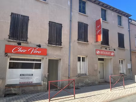 vente immeuble 300 m² saint-just-la-pendue (42540)