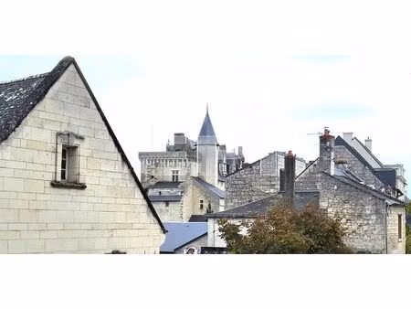 vente maison 6 pièces 230 m² montsoreau (49730)