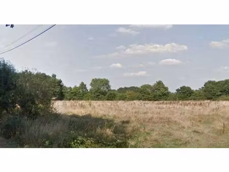 vente terrain au cellier (44850) : à vendre / le cellier