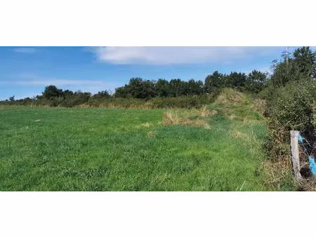 vente terrain 2816 m² à meillard (03500)  25 344 €