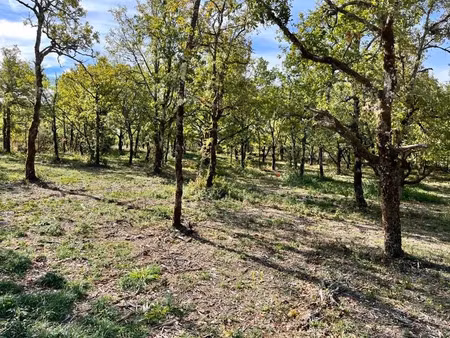 vente terrain à lalbenque (46230)  56 000 €