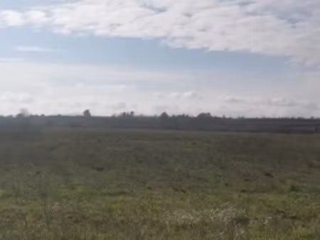 vente terrain 600 m² à rieux-minervois (11160)  67 900 €