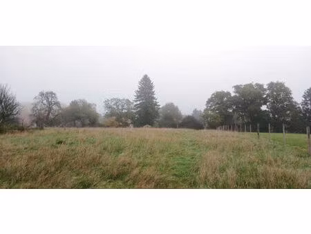 vente terrain 2406 m² angeot (90150)