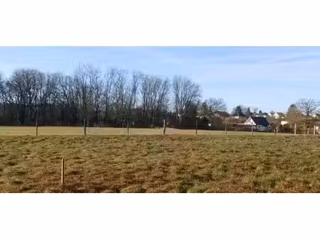 vente terrain constructible de 2406 m2 angeot