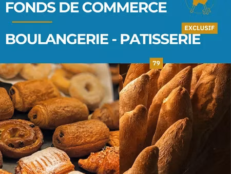 vente locaux professionnels 100 m² à pamproux (79800)  82 500 €